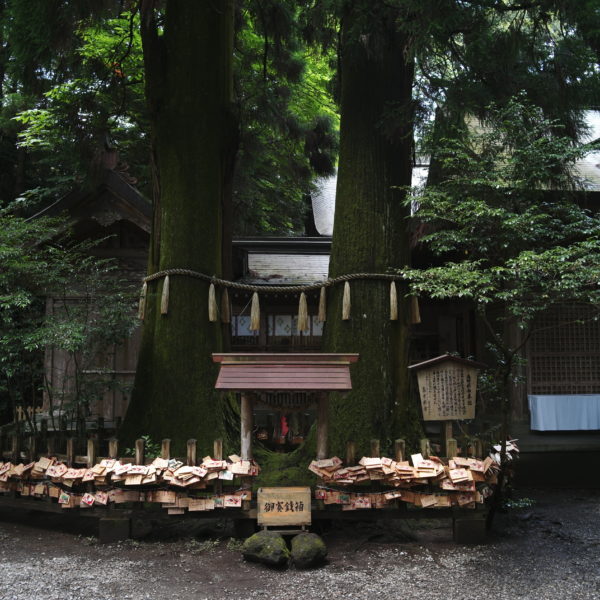 Wooden prayers in Tsuruoka