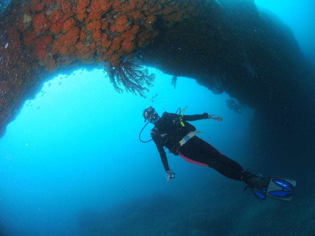 Scuba diving under coral arch